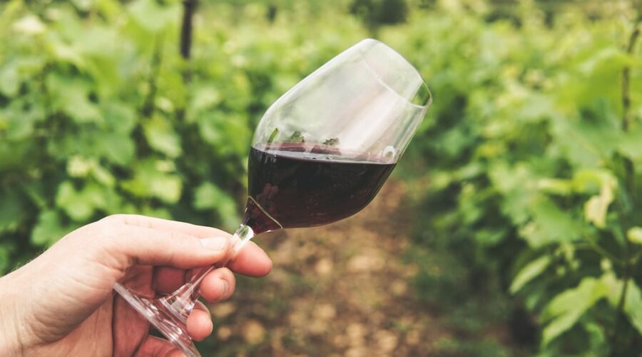 Beneficios del vino: los 5 secretos