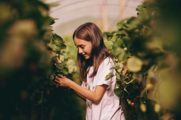 La importancia de la agricultura regenerativa y los huertos ecológicos