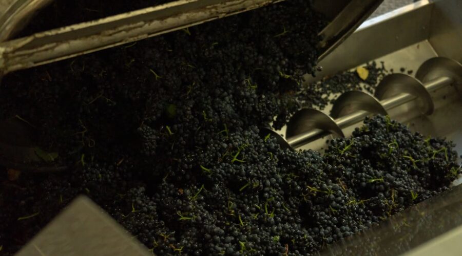 Métodos de producción del vino y cómo afectan al sabor y a la calidad