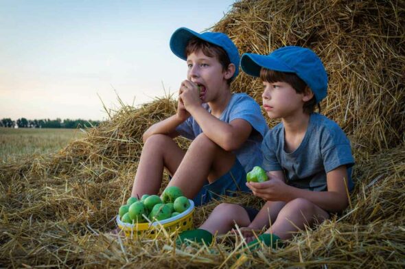 No te pierdas los cinco beneficios que aporta a la salud los planes familiares