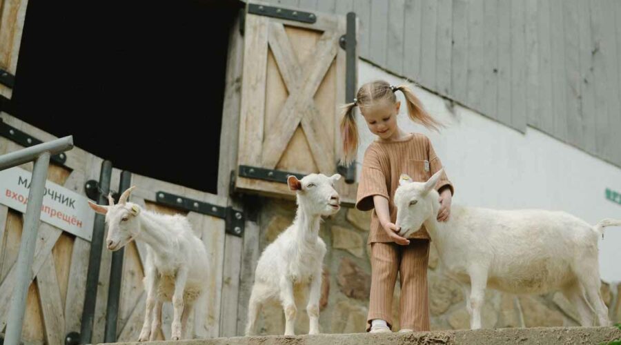 Agroturismo: qué es, actividades comunes y turismo rural