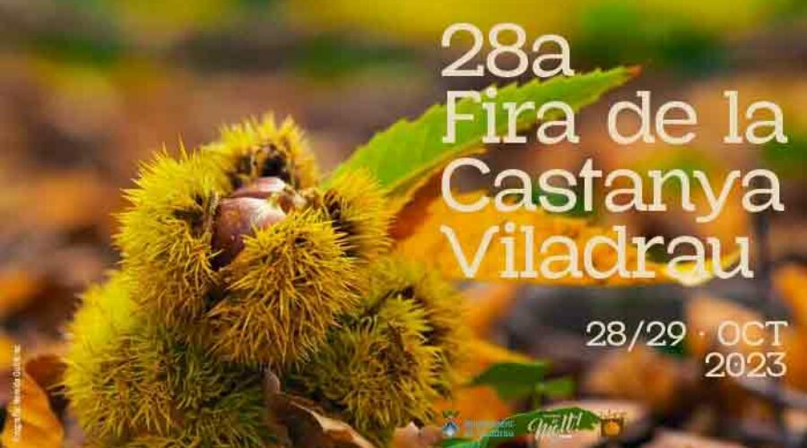 Feria de la Castaña en Viladrau