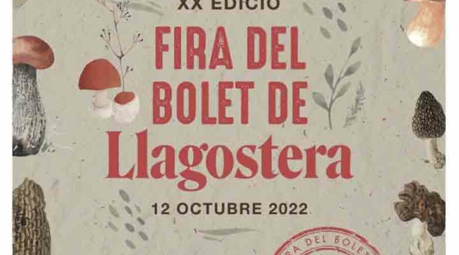 Feria de la Seta en Llagostera