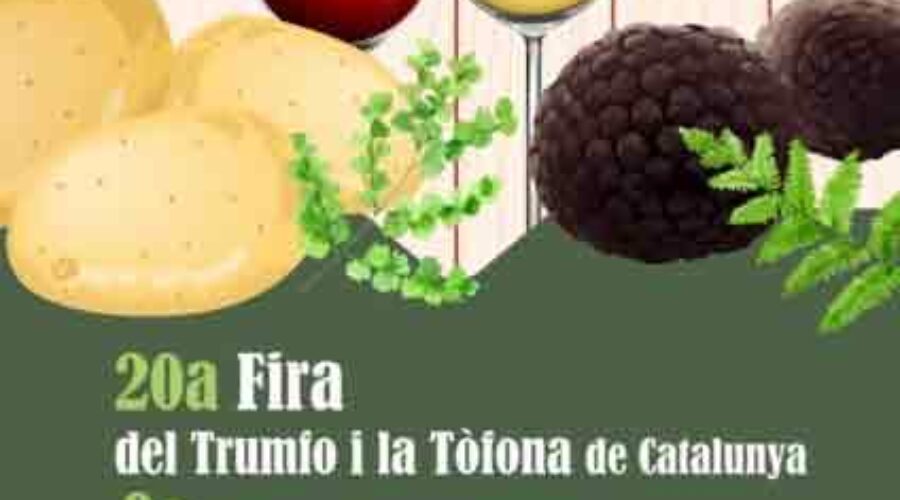 Feria del Trunfo y la Trufa y el Vino en Solsona