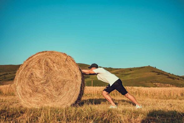 Emprendimiento rural y ayudas