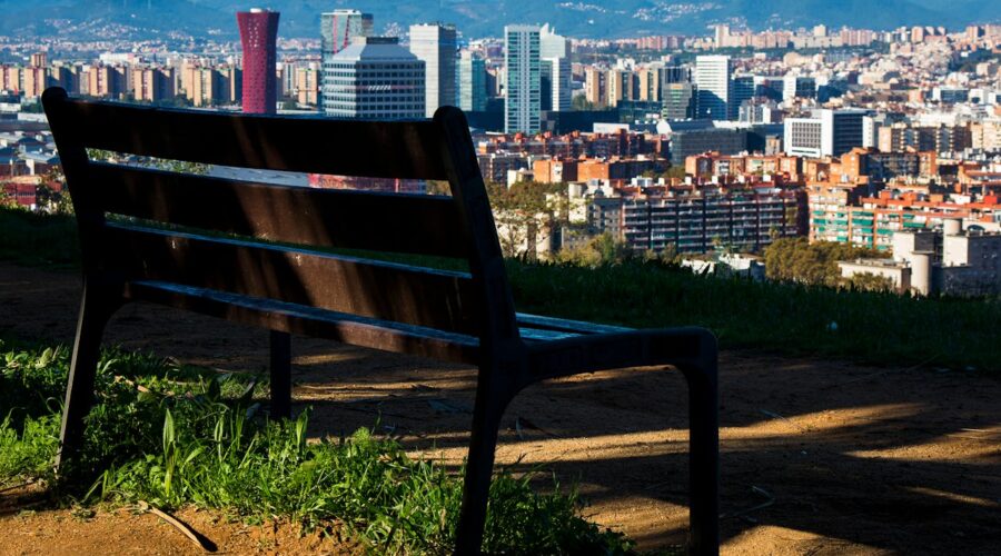 Granja urbana: qué animales puedo tener si vivo en una ciudad