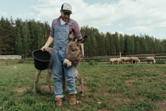 Curso joven agricultor