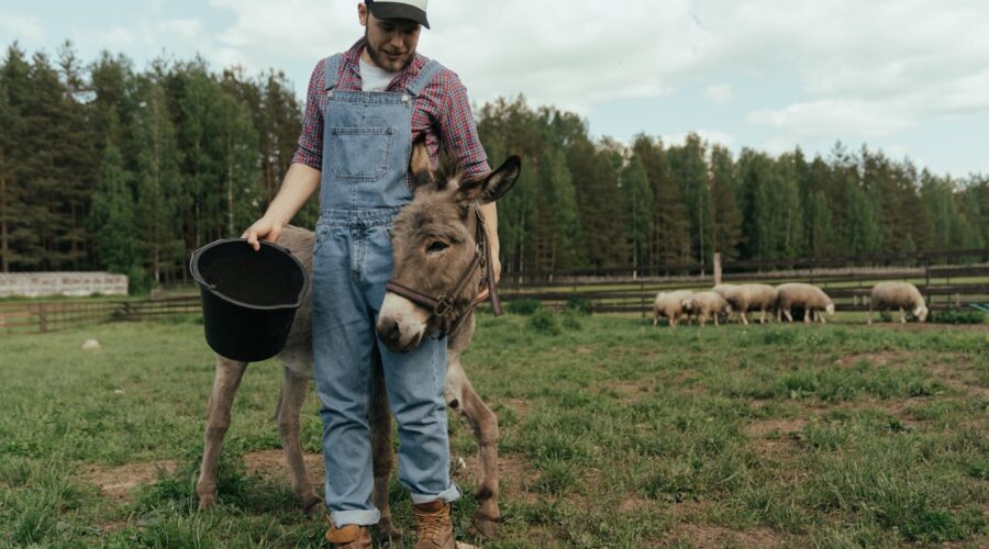 Curso joven agricultor: La puerta de entrada al sector agrario