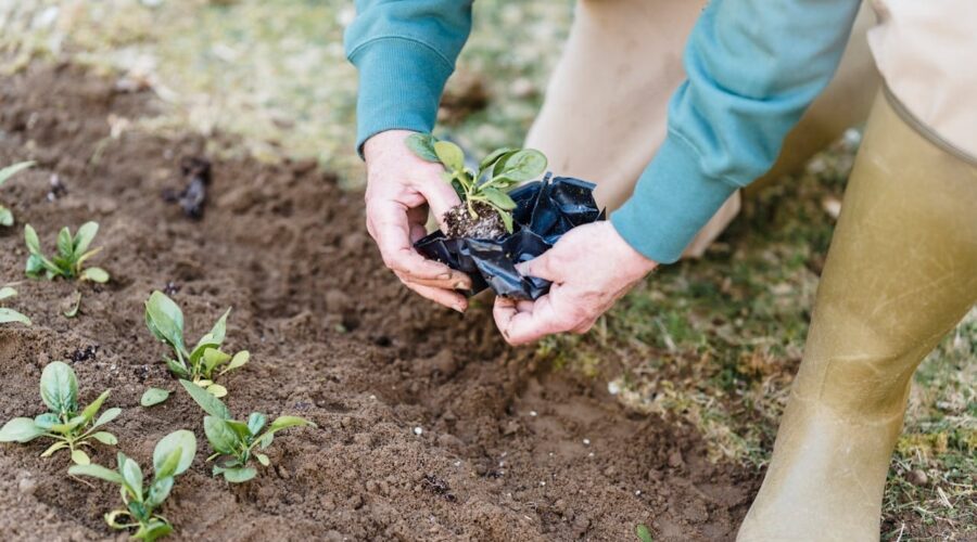 Agricultor activo: el eje de la profesionalización agraria