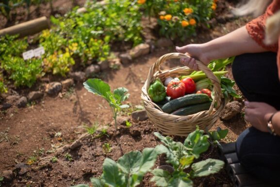 Agricultura de subsistencia