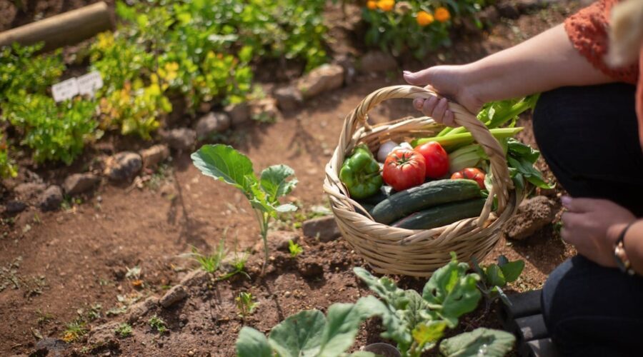 Agricultura de subsistencia: pilar de la sostenibilidad