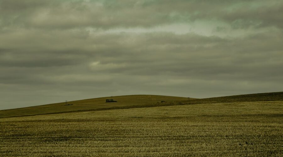 Latifundio: el poder de la tierra en pocas manos